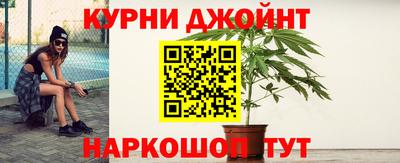 гидропоника Пенза