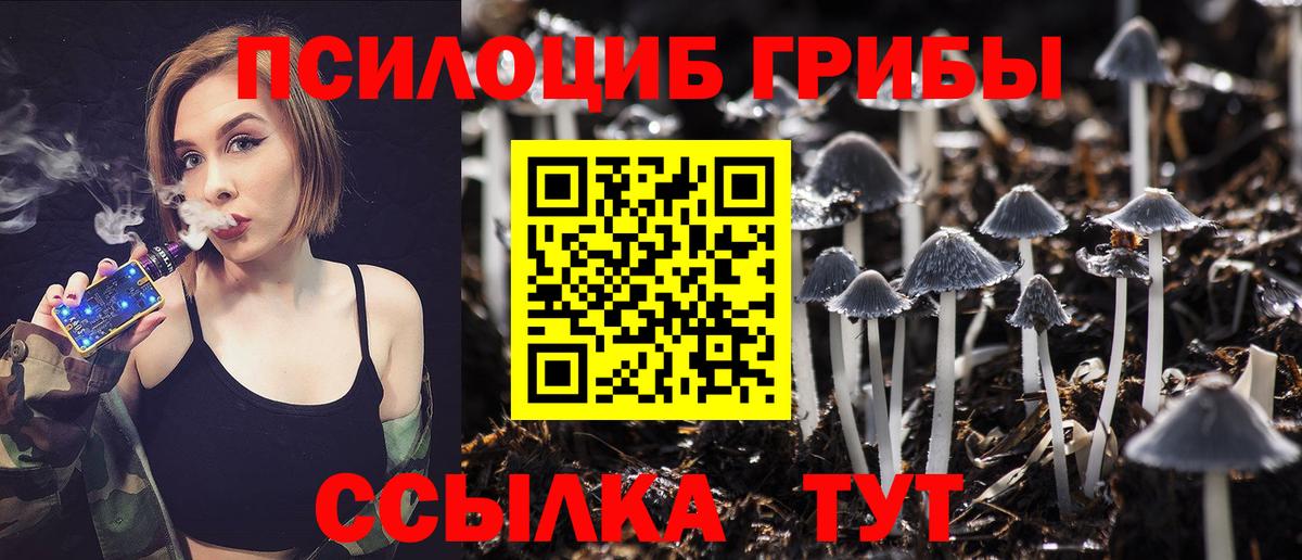 Галлюциногенные грибы Psilocybe Сибай